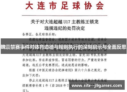 魏震禁赛事件对体育道德与规则执行的深刻启示与全面反思